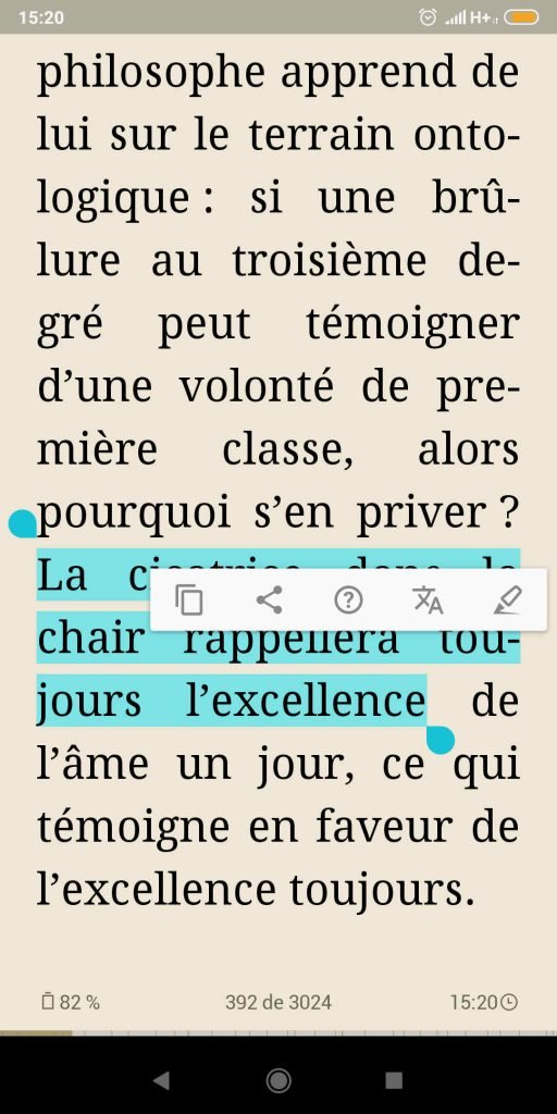 La sélection d'un texte donne accès à un menu contextuel qui permet entre autres de chercher la définition d'un mot dans un dictionnaire installé